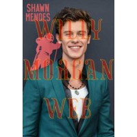 Shawn Mendes 1